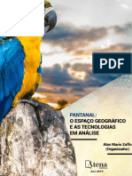 E Book Pantanal O Espaço Geográfico e As Tecnologias em Análise