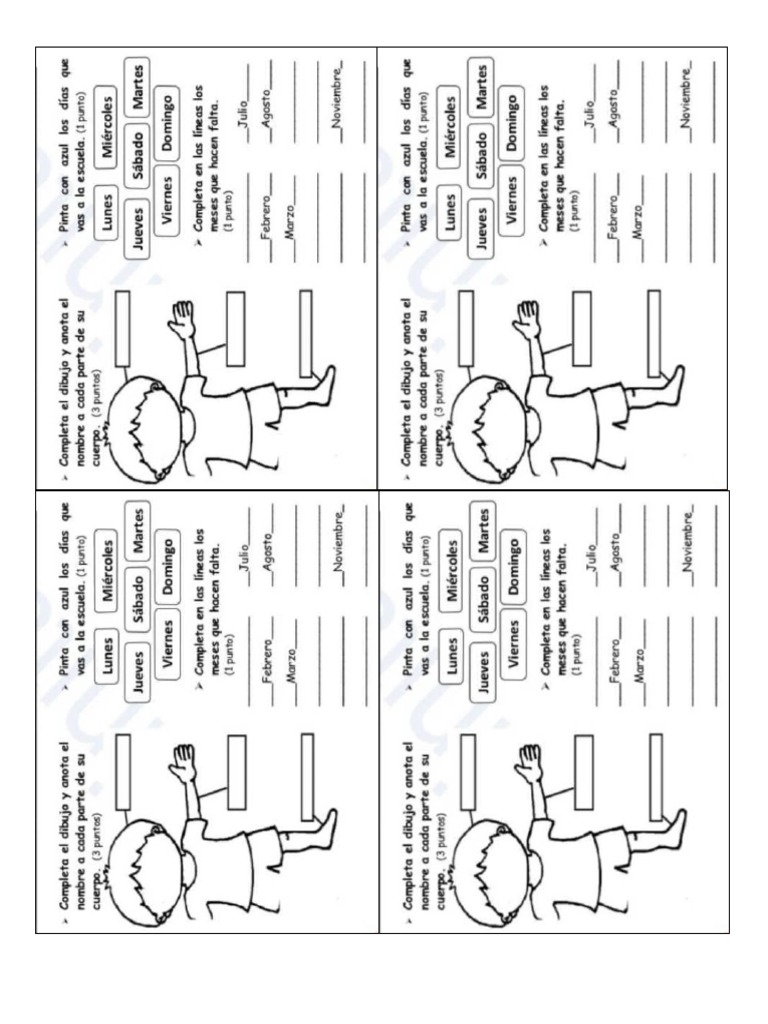 Partes Del Cuerpo | PDF