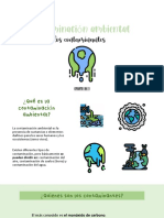 Contaminación Ambiental