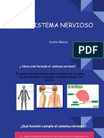 Presentación Sistema Nervioso (Retroalimentación 4° Básico)