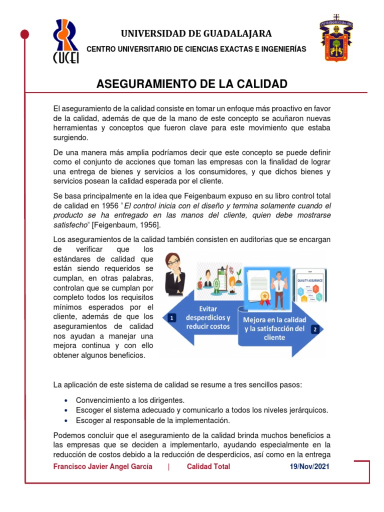 Aseguramiento de la Calidad en Empresas | PDF | Calidad (comercial ...