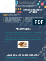 Moléculas Energéticas - Carbohidratos y Lípidos