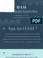 PKN Ham