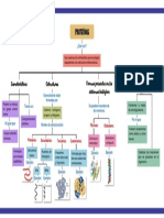 Proteínas