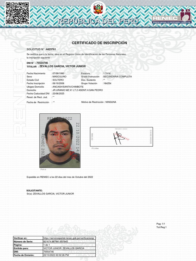 Zev Allos PDF Gobierno y personalidad Responsabilidad