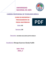 Practica 4 Informe Forense - Rimapa Guerrero