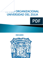 Estructura Organizativa LUZ. PDF