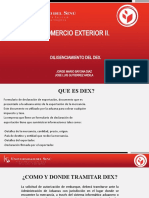 Diligenciamiento Del Dex