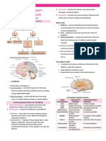 Pyschotherapeutic Drugs 1