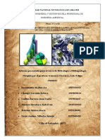 Estimación de la precipitación media de una cuenca hidrográfica a través de métodos estadísticos