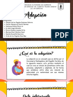 Adopción 2P