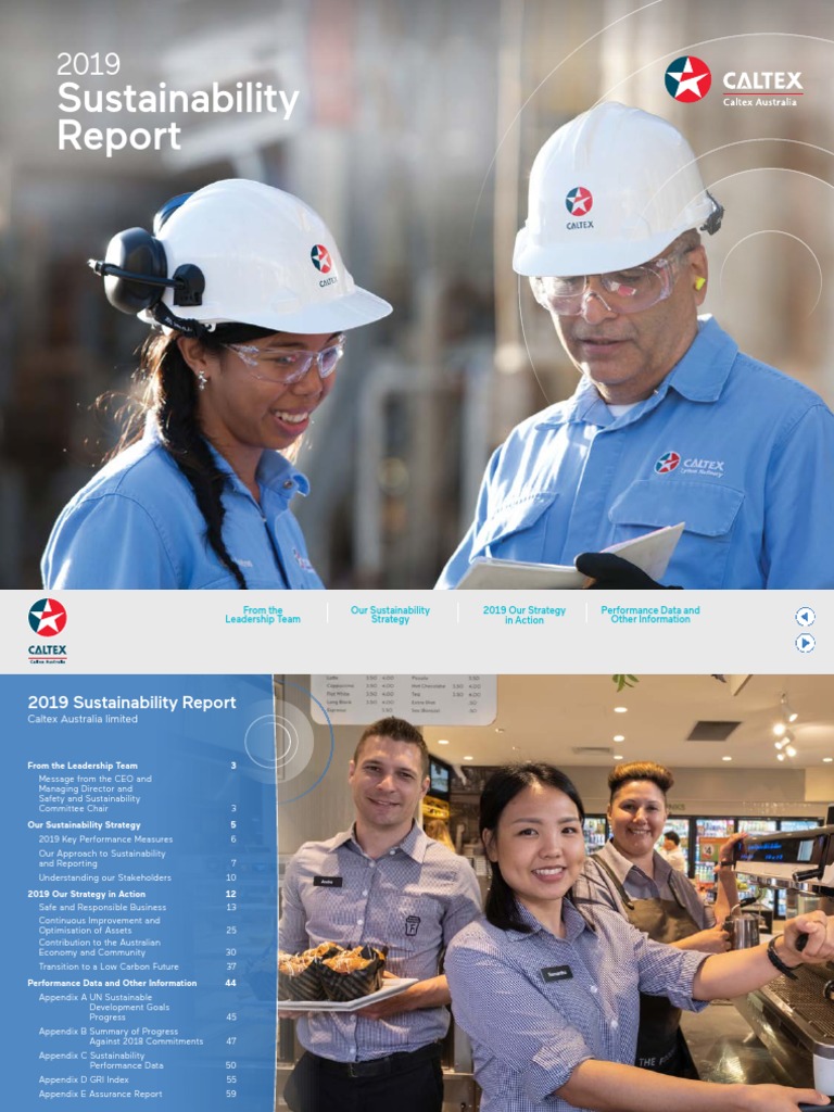 2019 Sustainability Report | PDF | Economies | Business