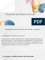 Exp1 Desarrollo Del Sistema Nervioso