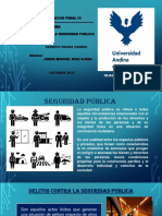 Delitos Contra La Seguridad Publica - Aspectos Generales