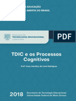 TDIC e Os Processos Cognitivos WEB