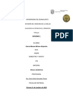 Actividad 1. Complicaciones en La Primera Mitad Del Embarazo. MAGM