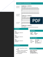 20 - Plantilla Curriculum