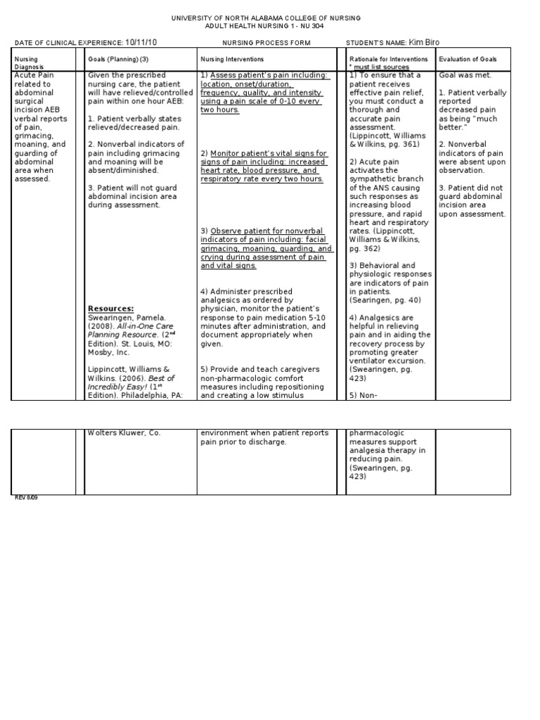 Acute Pain Care Plan Pain Pain Management