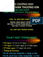 GS TS Cong Minh - Chan Thuong Vet Thuong Nguc