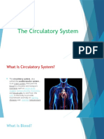 Circulatory System Internals