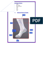 General Part of Socks