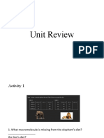 Unit Review