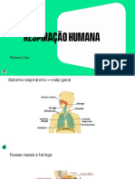 Sistema respiratório humano