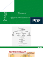 Glucógeno PDF