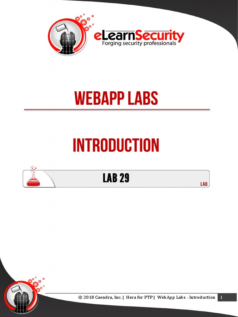 29 WebApp Labs Introduction | PDF | Http Cookie | Domain Name System