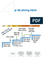 Cac Cap Do Phong Benh