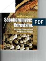 Book Saccaromyces SP