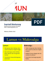 Lamun 1 Morfologi 2022 - Compressed