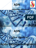 ADN Estructura y Funci N - ISASA