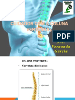 Coluna Vertebral- resumo