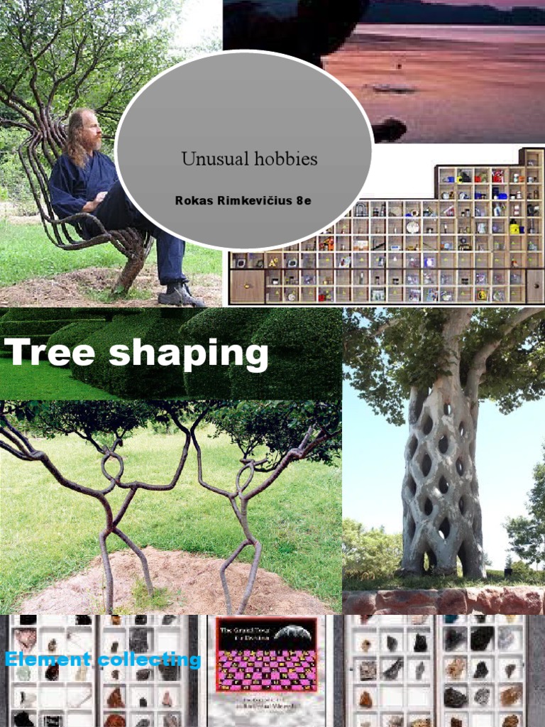 Anglų Projektas Unusual Hobbies | PDF