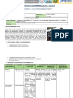 8vo Proyecto de Aprendizaje Vi Ciclo