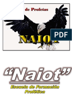 Materias Naiot PDF