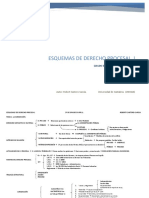 Esquemas de Derecho Procesal I