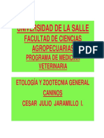 Generalidades Caninos u.V