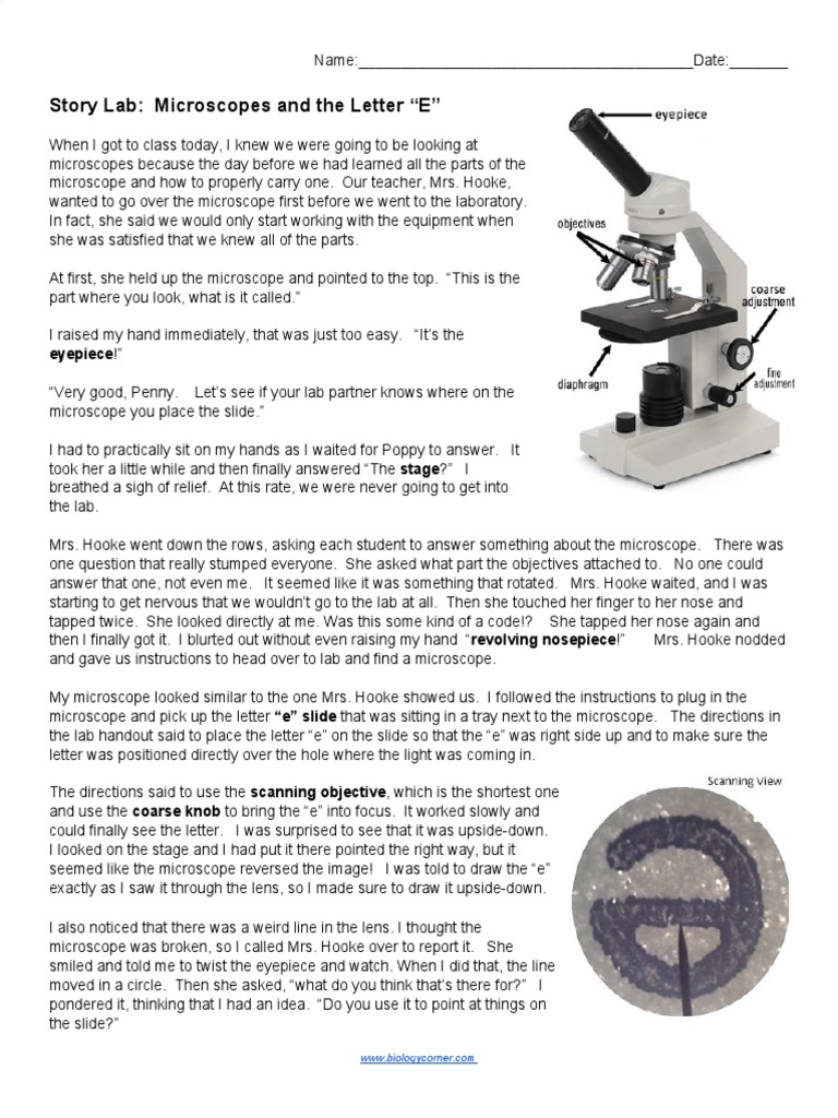 Microscope Lab: Learning the Parts and Using Objectives to View a ...