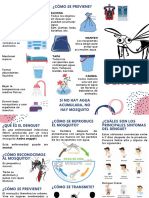 Dengue Folleto