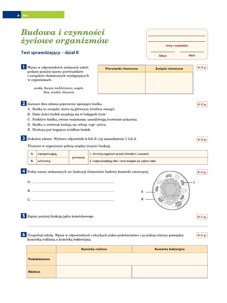 Budowa I Czynnosci Zyciowe Organizmow Sprawdzian Klasa 5