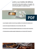 La Constitución y Sus Medios de Defensa