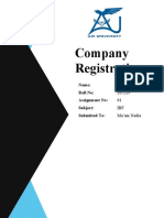 IBF Company Registration Assignment 1