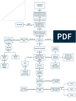 Mapa Conceptual Sobre La Igualdad de Posiciones