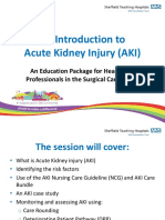 Sheffield Hospital Surgical Care Guidelines For AKI