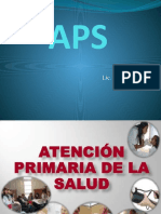 APS Honduras