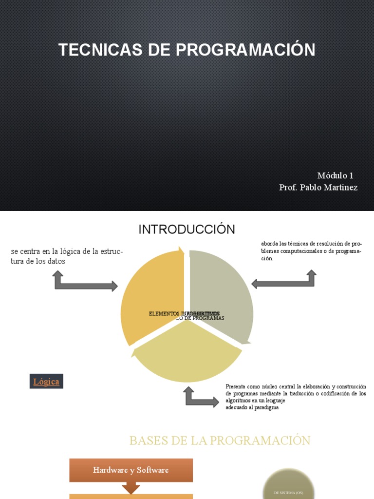 Técnicas de Programación y Algoritmos | PDF | Programación | Programa ...