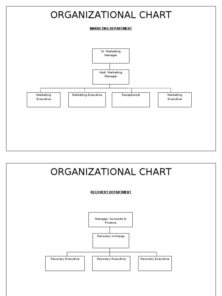 Marketing and Recovery Department Org Chart | PDF