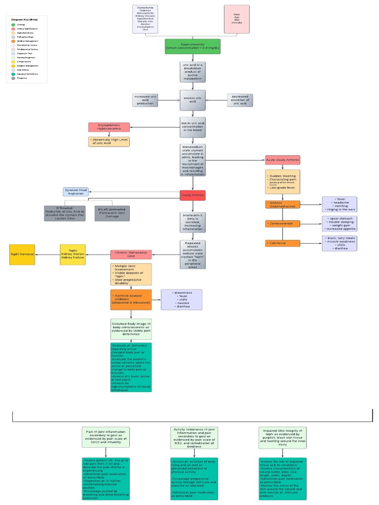 Gouty Arthritis Pathophysiology | PDF | Gout | Medicine